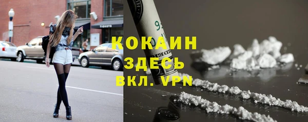 прущие грибы Алексин