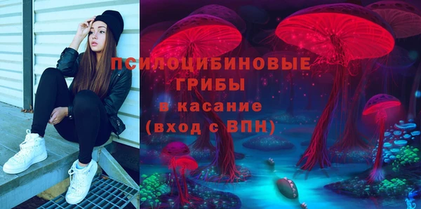 сатива Алексеевка