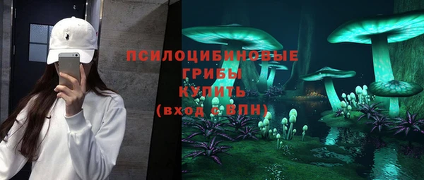 прущая мука Алзамай