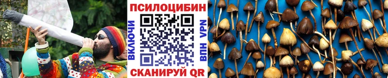 Галлюциногенные грибы Psilocybe  Темников 